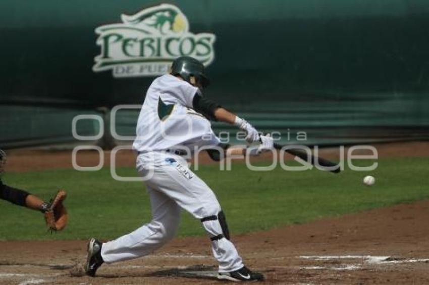 PERICOS VS GUERREROS - BEISBOL