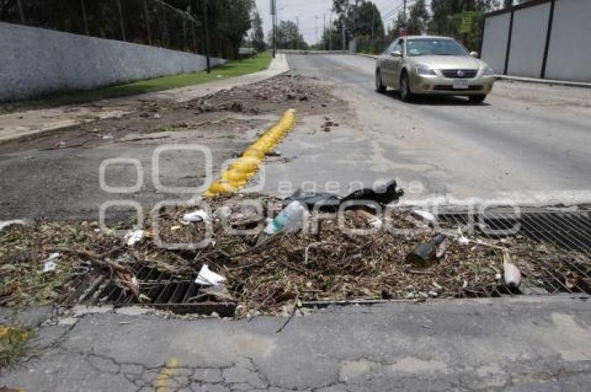 BASURA EN LAS COLADERAS. CAMINO REAL