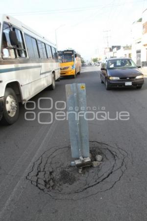 BACHE