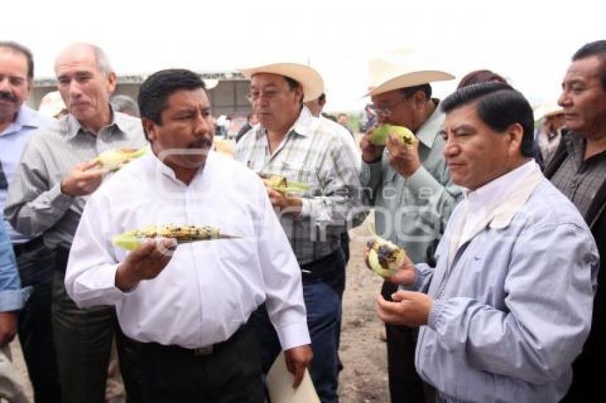 RECORRE GOBERNADOR HARINERA DE MAIZ EN EL SECO