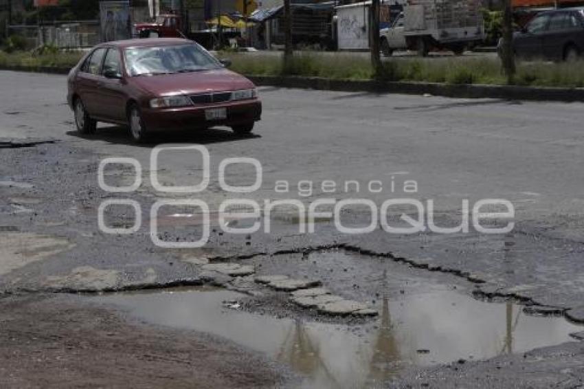 BACHES