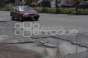 BACHES