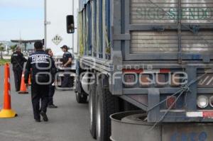 OPERATIVO POLICÍA FEDERAL. SAT. MERCANCÍA ILEGAL