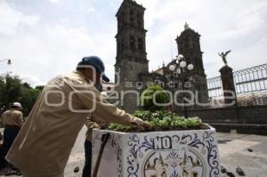 CAMBIO DE FLORES EN MACETAS DEL CENTRO