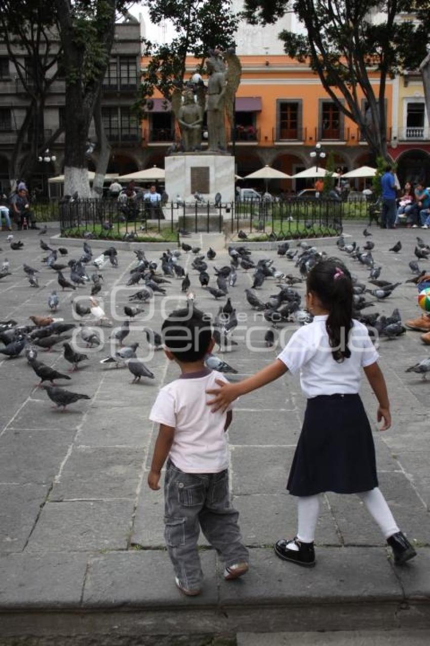 PALOMAS EN EL ZÓCALO DE LA CIUDAD