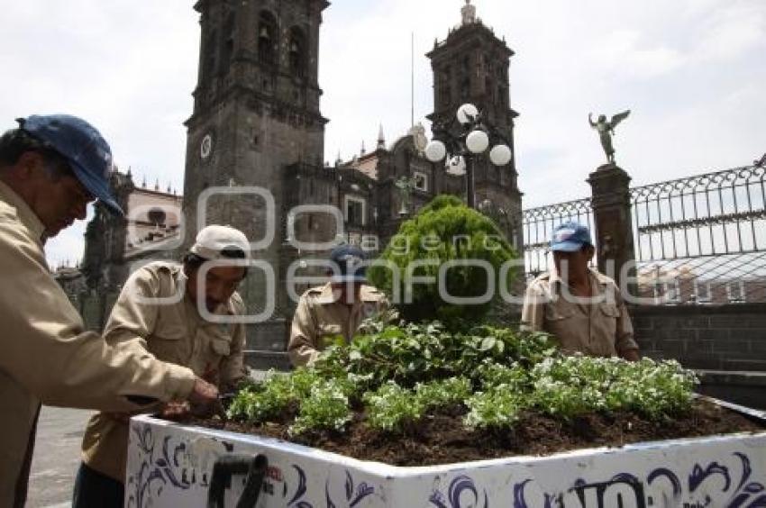 CAMBIO DE FLORES EN MACETAS DEL CENTRO