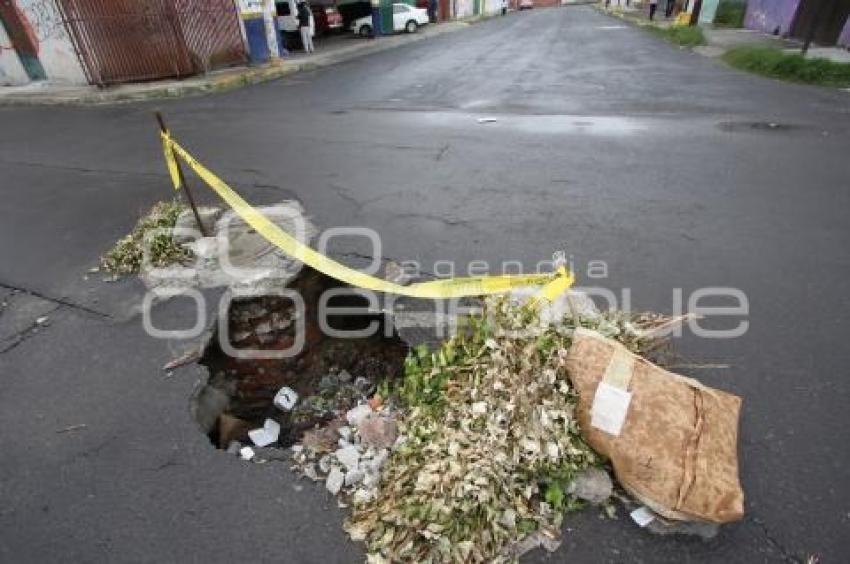 BACHE. COLONIA LA LOMA