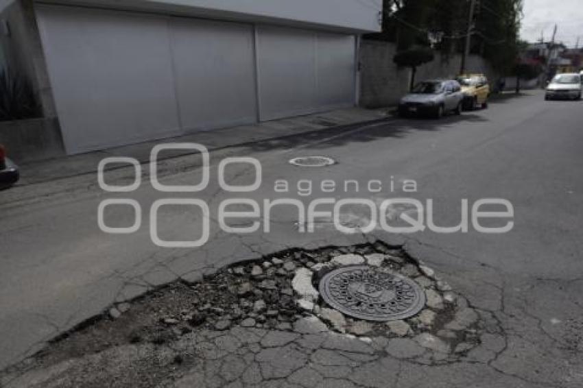 BACHES