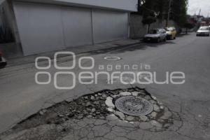 BACHES