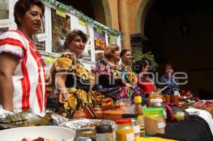 PROMOCIÓN TURÍSTICA CHIAPAS