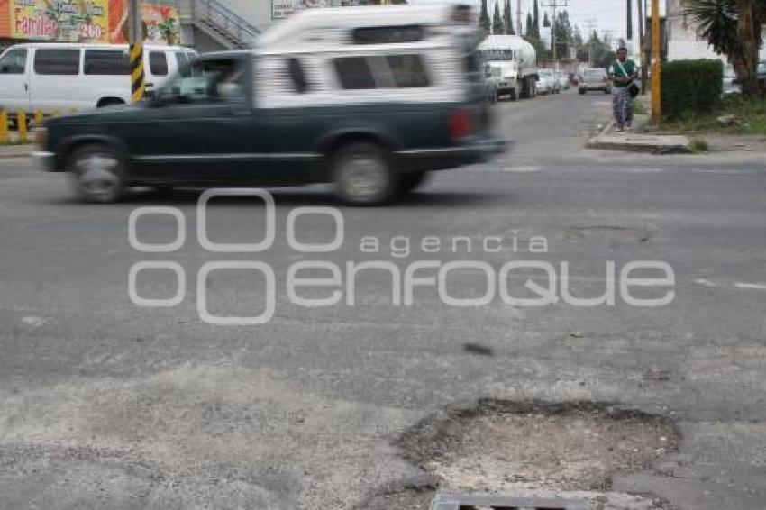 BACHE COLONIA PATRIMONIO
