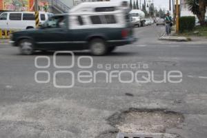 BACHE COLONIA PATRIMONIO