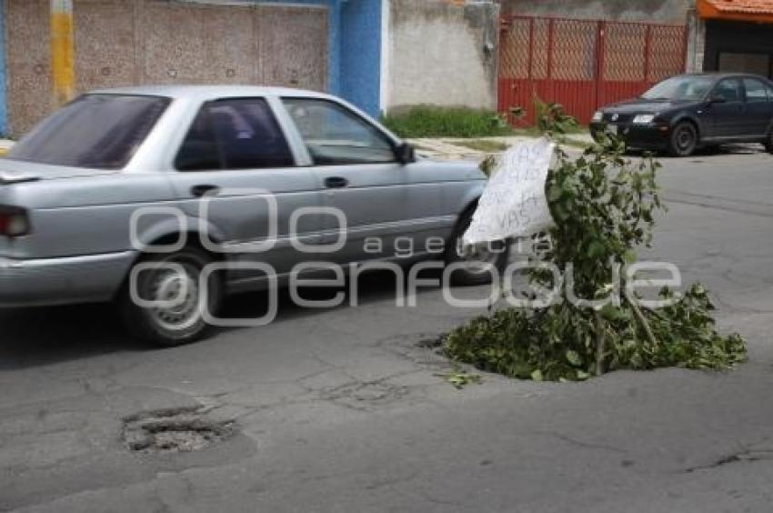 BACHE COLONIA PATRIMONIO