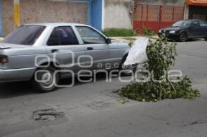 BACHE COLONIA PATRIMONIO