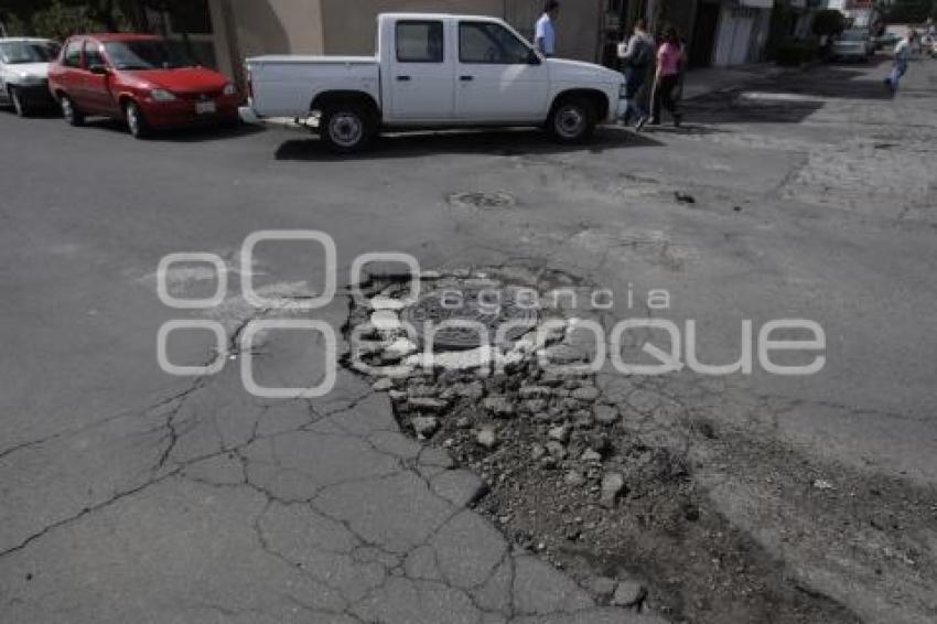 BACHES
