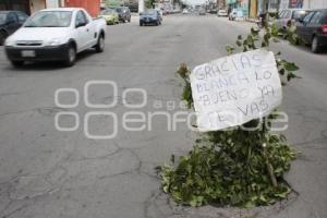 BACHE COLONIA PATRIMONIO