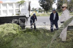 PARQUES Y JARDINES