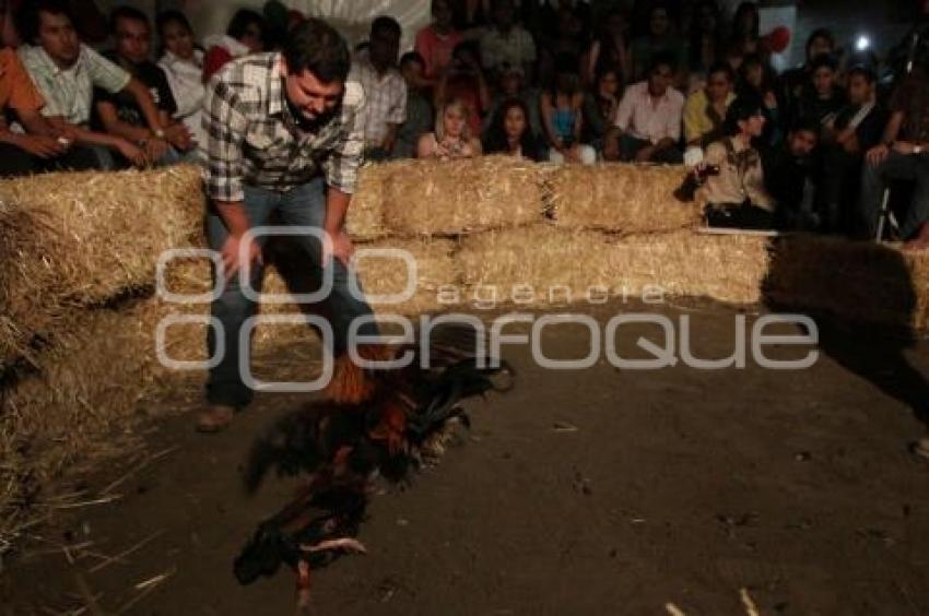 PELEA DE GALLOS. NOCHE MEXICANA