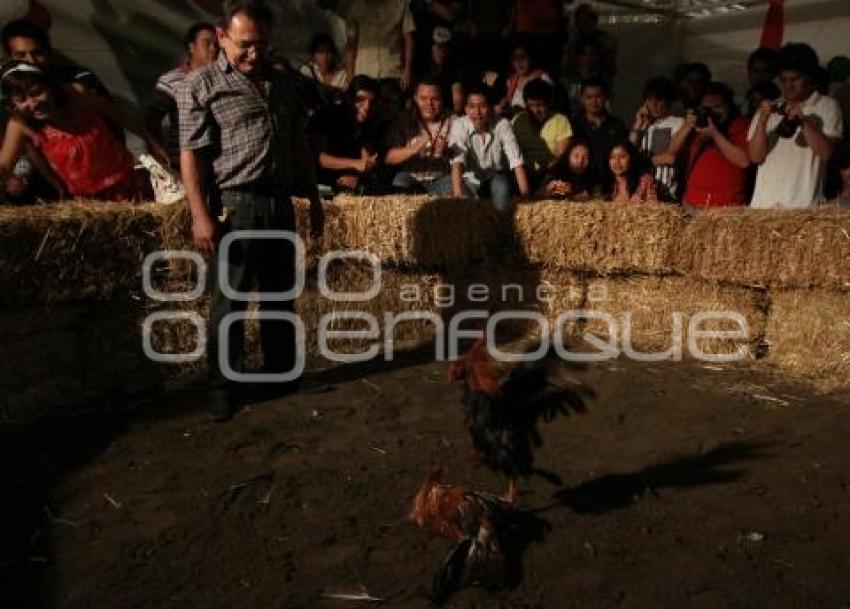 PELEA DE GALLOS. NOCHE MEXICANA