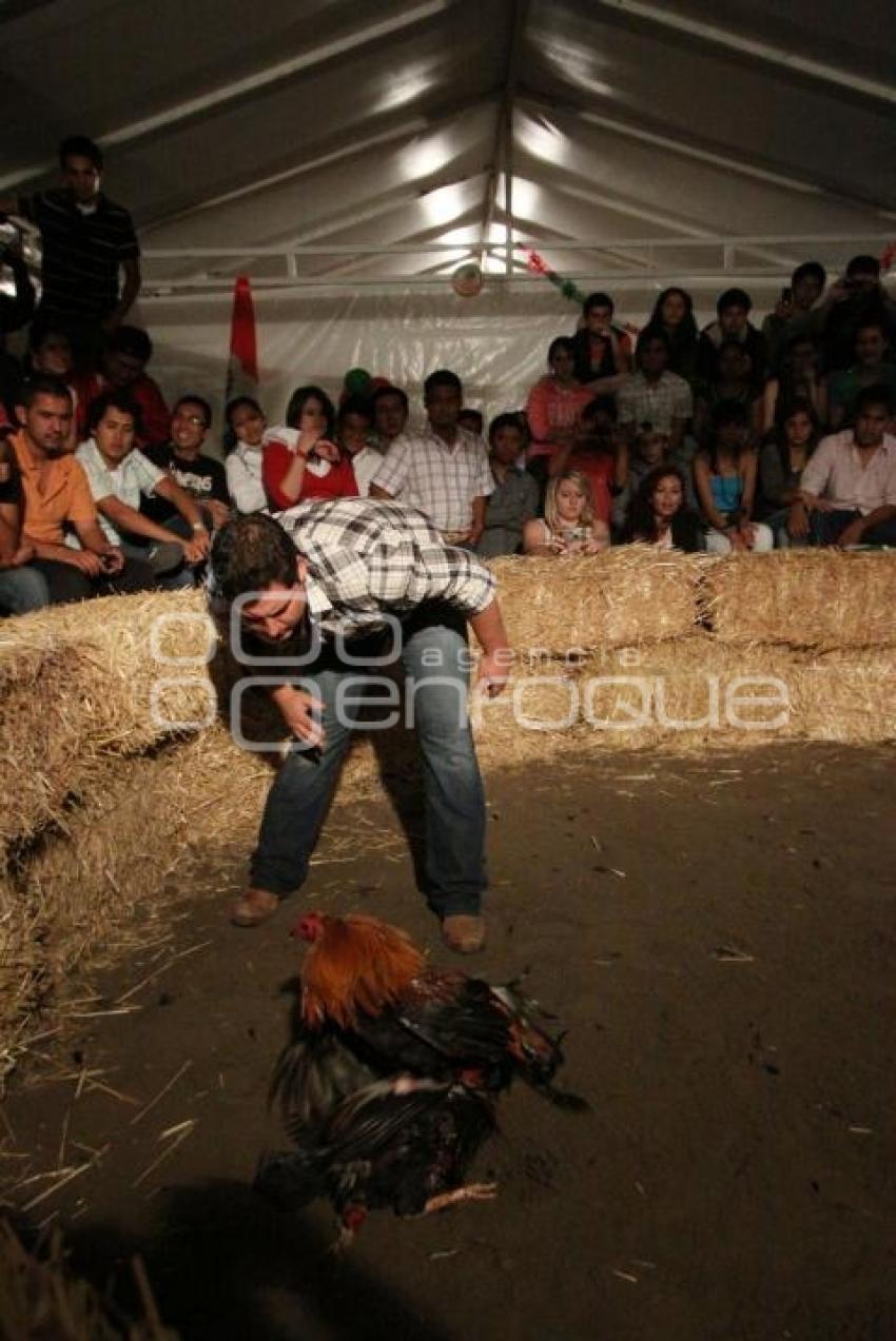 PELEA DE GALLOS. NOCHE MEXICANA