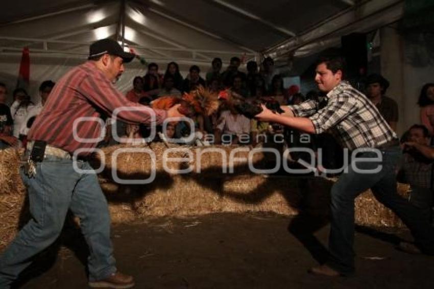 PELEA DE GALLOS. NOCHE MEXICANA