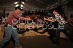 PELEA DE GALLOS. NOCHE MEXICANA