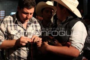 PELEA DE GALLOS. NOCHE MEXICANA