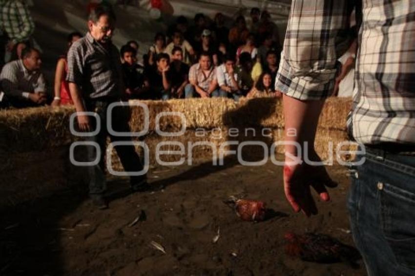 PELEA DE GALLOS. NOCHE MEXICANA