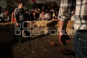 PELEA DE GALLOS. NOCHE MEXICANA