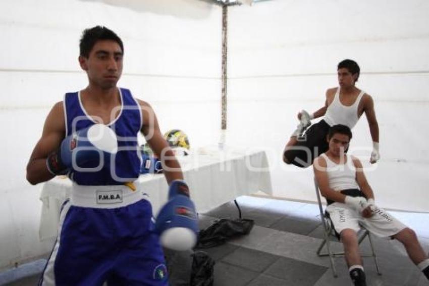 TORNEO BOX DE LOS BARRIOS