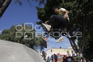 PLAZA SKATE