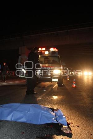 NOTA ROJA . ATROPELLADO AUTOPISTA