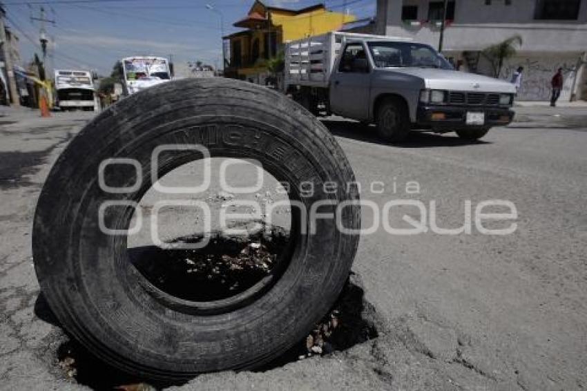 BACHES