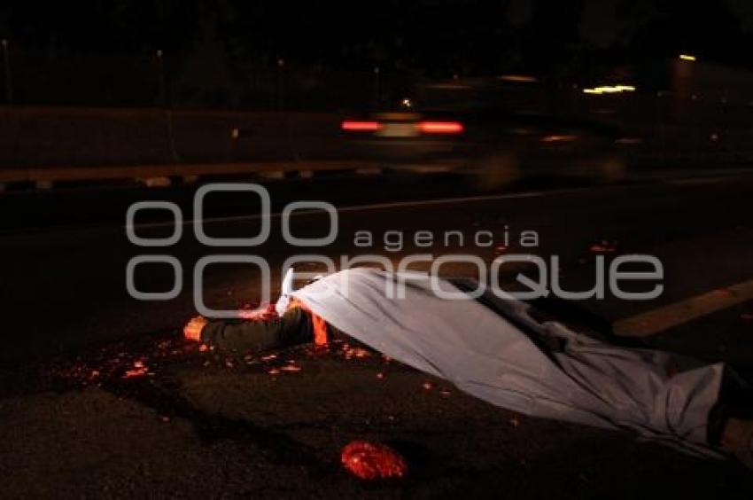 NOTA ROJA . ATROPELLADO AUTOPISTA
