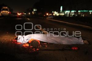 NOTA ROJA . ATROPELLADO AUTOPISTA