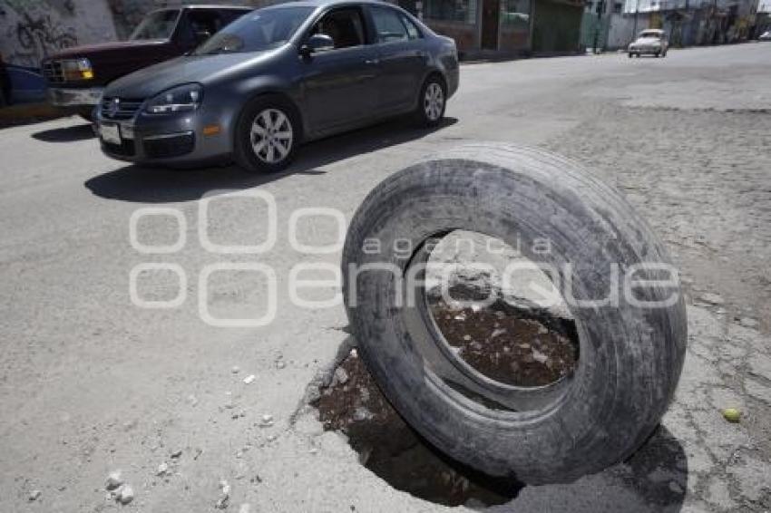 BACHES