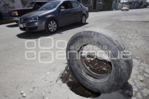 BACHES
