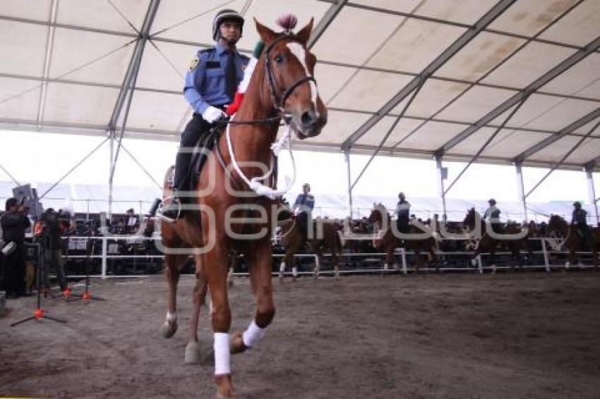 ENCUENTRO ECUESTRE. FERIA DEL CABALLO