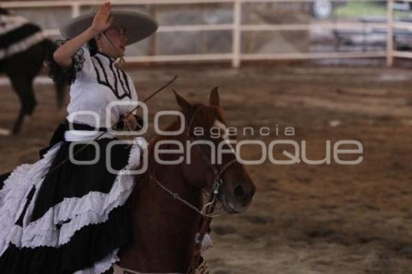 ENCUENTRO ECUESTRE. FERIA DEL CABALLO