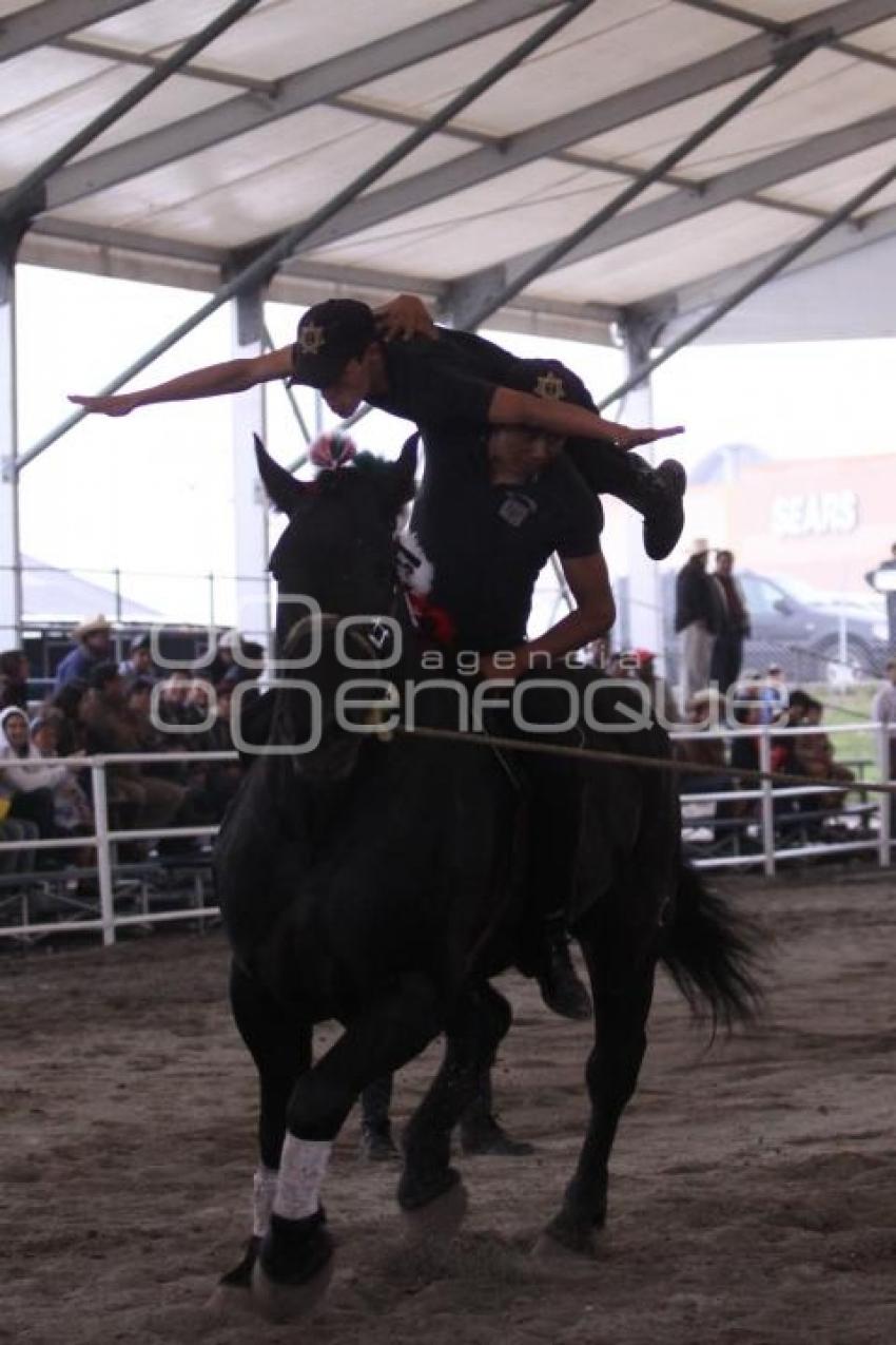 ENCUENTRO ECUESTRE. FERIA DEL CABALLO