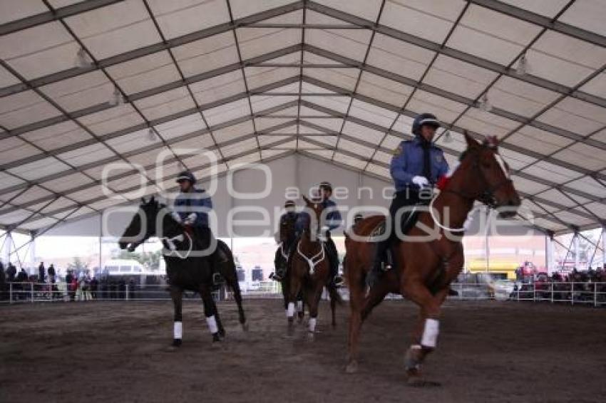 ENCUENTRO ECUESTRE. FERIA DEL CABALLO