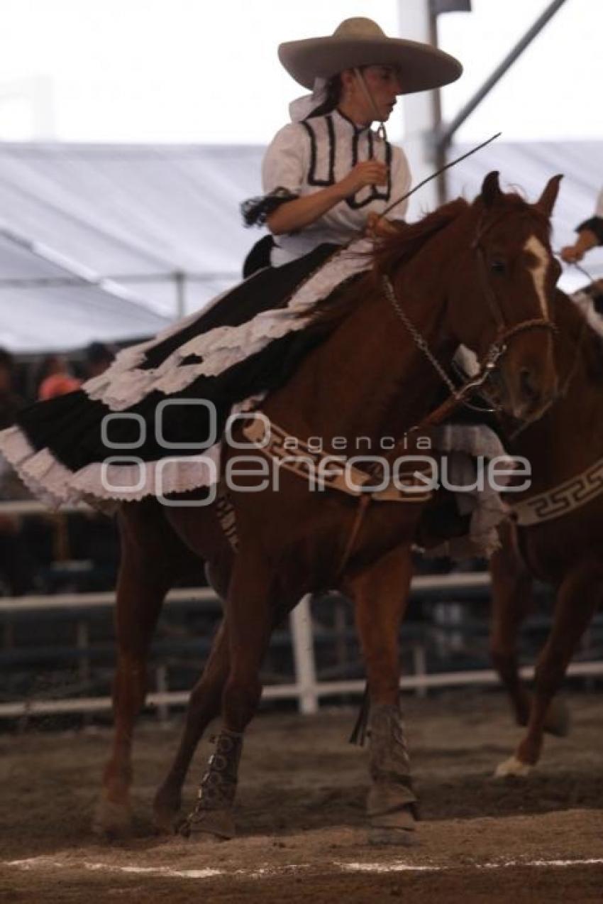 ENCUENTRO ECUESTRE. FERIA DEL CABALLO