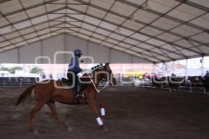 ENCUENTRO ECUESTRE. FERIA DEL CABALLO