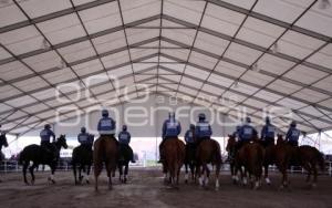 ENCUENTRO ECUESTRE. FERIA DEL CABALLO