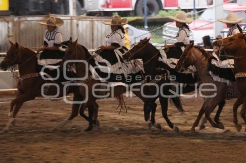 ENCUENTRO ECUESTRE. FERIA DEL CABALLO