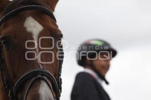 EXHIBICIÓN DE SALTO. FERIA DEL CABALLO