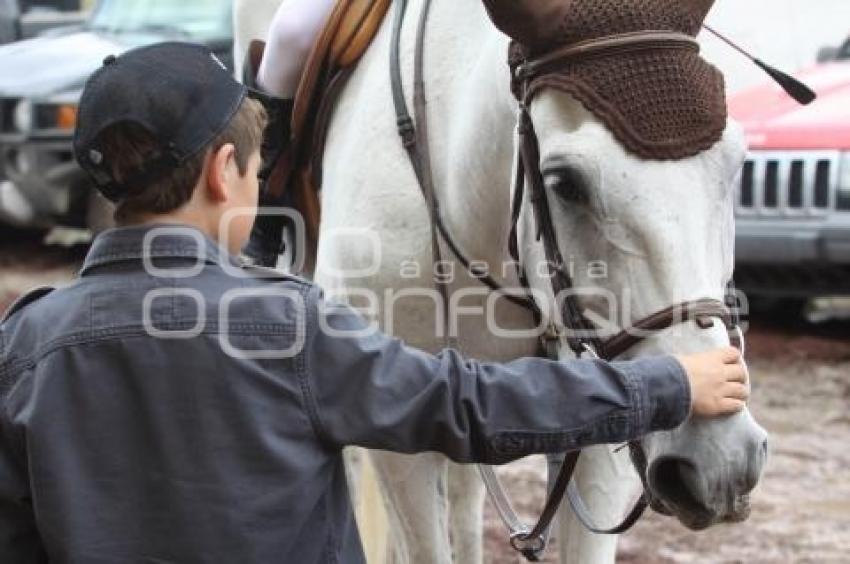 EXHIBICIÓN DE SALTO. FERIA DEL CABALLO