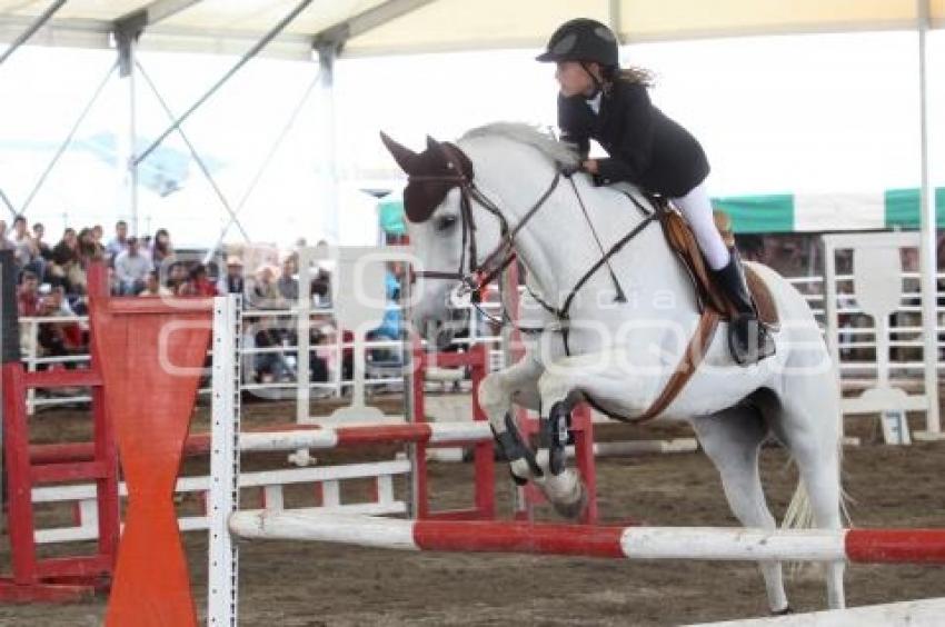 EXHIBICIÓN DE SALTO. FERIA DEL CABALLO