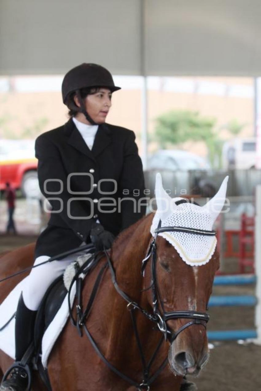 EXHIBICIÓN DE SALTO. FERIA DEL CABALLO