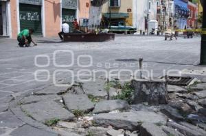 REMODELACIÓN DE LOS SAPOS